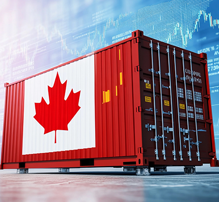 Flotte maritime dédiée au transport mondial 1